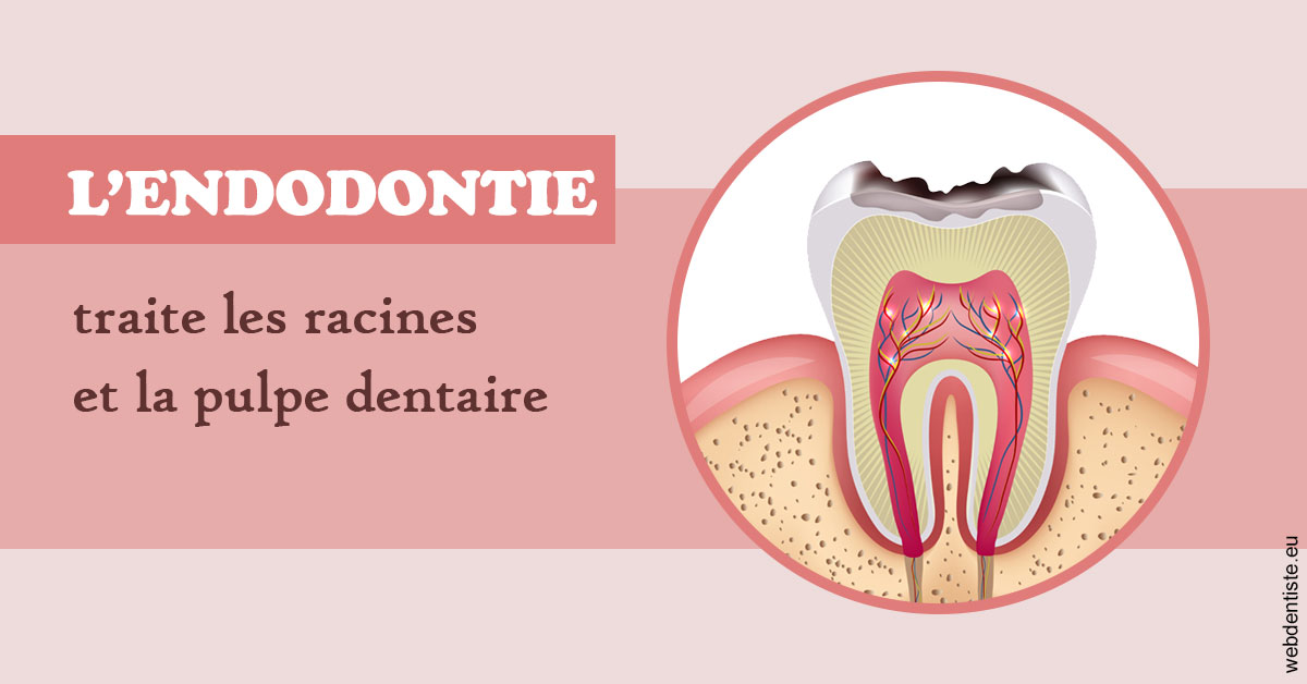https://dr-bounet-philippe.chirurgiens-dentistes.fr/L'endodontie 2