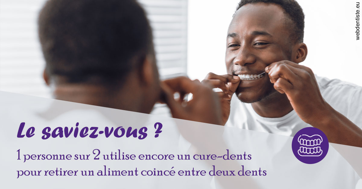 https://dr-bounet-philippe.chirurgiens-dentistes.fr/Cure-dents 2