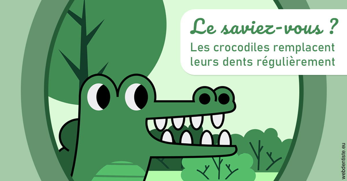 https://dr-bounet-philippe.chirurgiens-dentistes.fr/Crocodiles 2