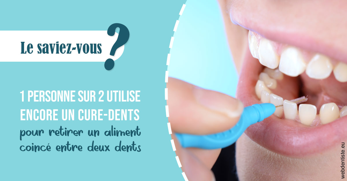 https://dr-bounet-philippe.chirurgiens-dentistes.fr/Cure-dents 1
