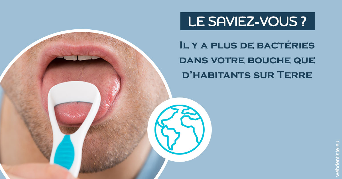 https://dr-bounet-philippe.chirurgiens-dentistes.fr/Bactéries dans votre bouche 2