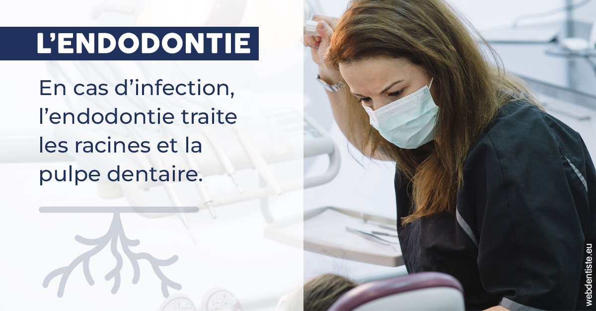 https://dr-bounet-philippe.chirurgiens-dentistes.fr/L'endodontie 1